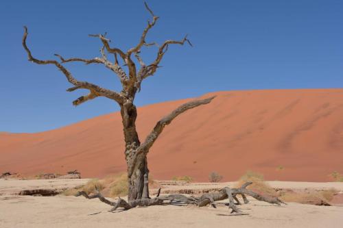 Deadvlei