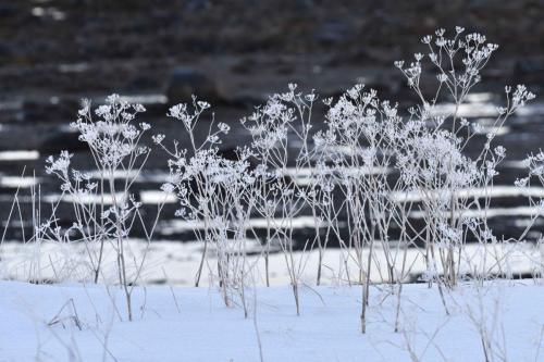 Bord de mer à Laukvik