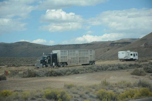 Sur la route entre Montrose et Alamosa