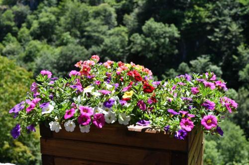 Bès Bédène (Campouriez)