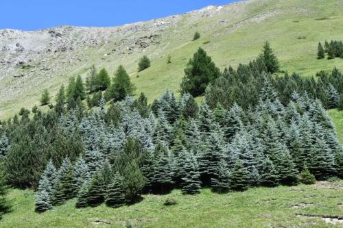 Vue depuis le plan d'eau d'Arsine