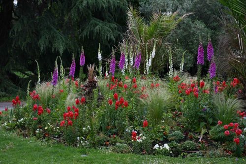 Jardin des plantes