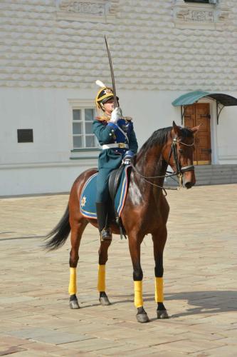 Parade du régiment Présidentiel