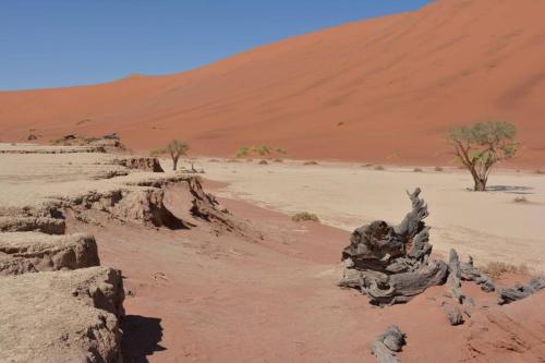 Deadvlei
