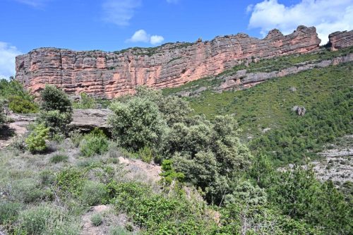 Sur la route de Hortoneda