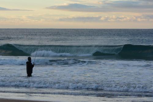 Pêcheur sur la plage de Apollo Bay