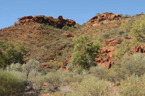 Kings Canyon