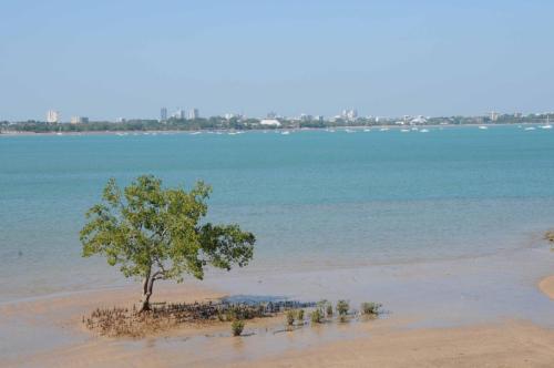 Centre-ville de Darwin