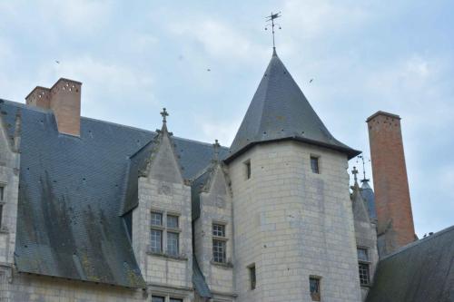 Château du Plessis-Bourré (Maine et Loire)