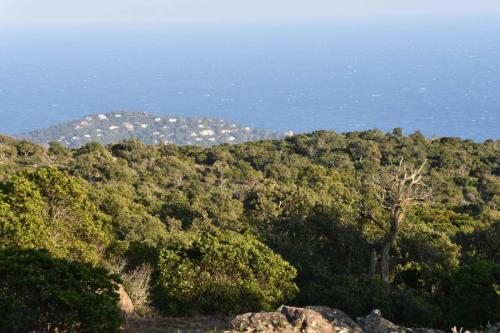 Pointe du Cap Nègre depuis la Route Forestière des Crêtes