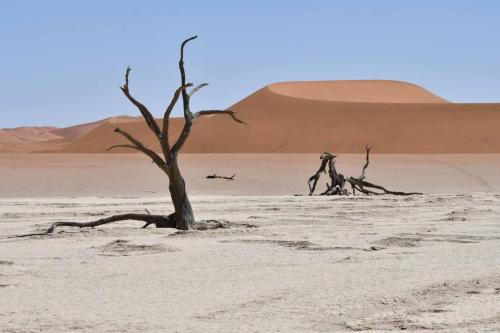 Deadvlei
