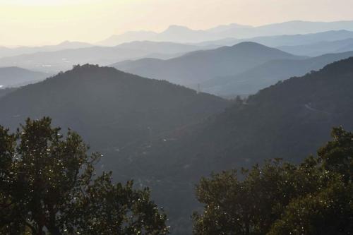 Massif des Maures Route Forestière des Crêtes