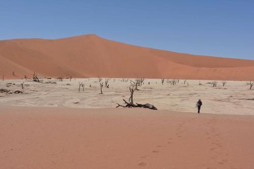 Deadvlei