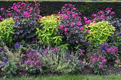 Jardin du Luxembourg