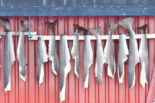 Sechage de morue sous un porche