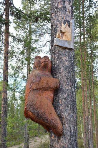 Entre la frontière et Nellim