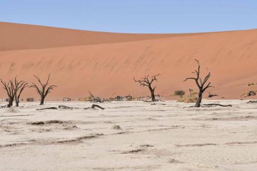 Deadvlei