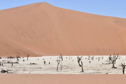 Deadvlei