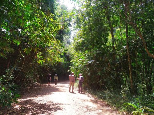 Sur la piste dans le Parc national de Kaeng Krachan