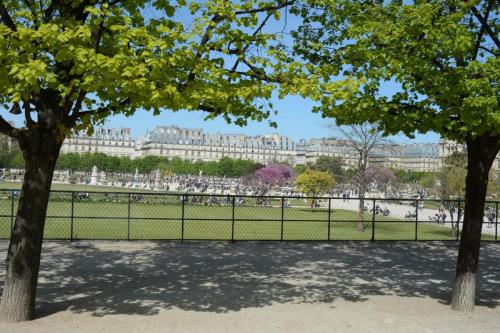 Jardin des tuileries