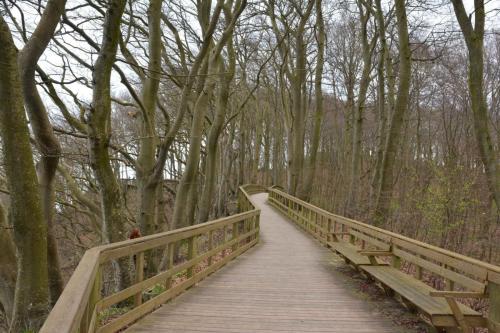 Falaises de craie Mon