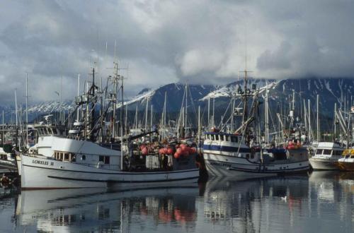 Seward
