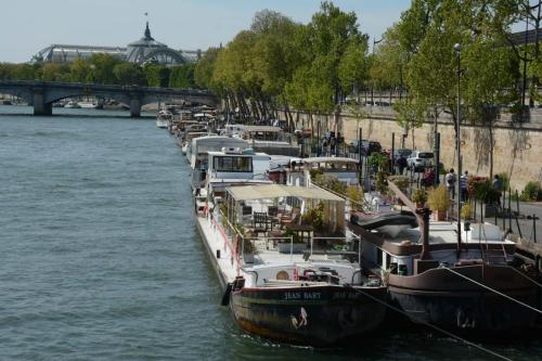 La Seine avec au fond le Grand Palais
