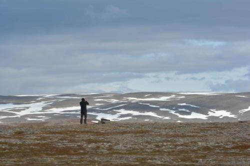 A la recherche du pluvier guignard près de Batsfjord, sans succès.