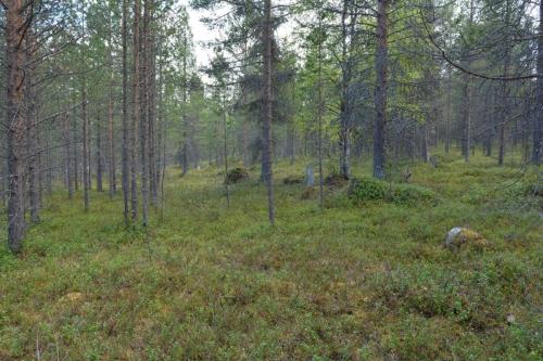 Entre Nellim et Ivalo