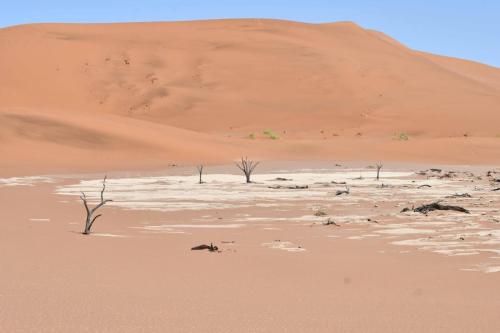 Deadvlei