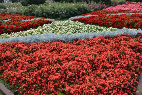 Jardin Aleksandrovsky