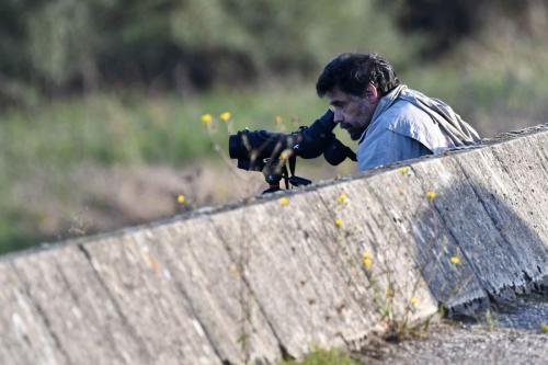 Jean Chevallier, artiste naturaliste, observant le Pygargue à queue blanche