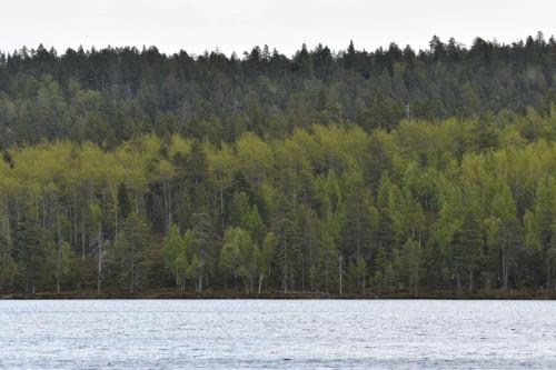 Entre Nellim et Ivalo