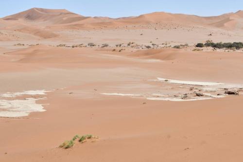 Deadvlei