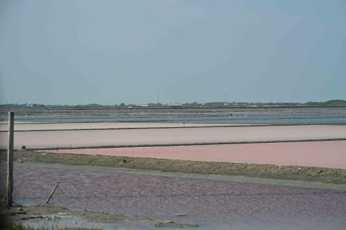 Marais salants de Pak Tale