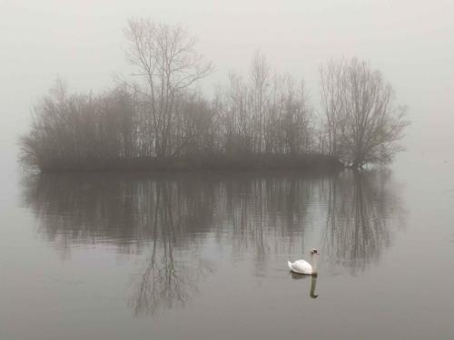 Brouillard étang de Saint-Quentin en Yvelines 31 janvier 2021