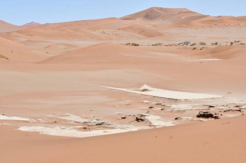 Deadvlei
