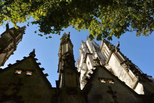 Cathédrale Saint-Pierre (Saintes)