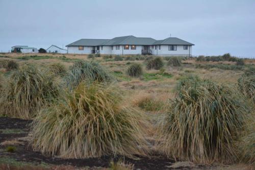 Lodge de Sea Lion Island