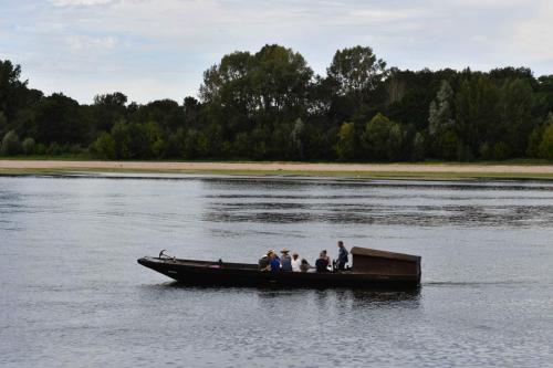 Bords de Loire