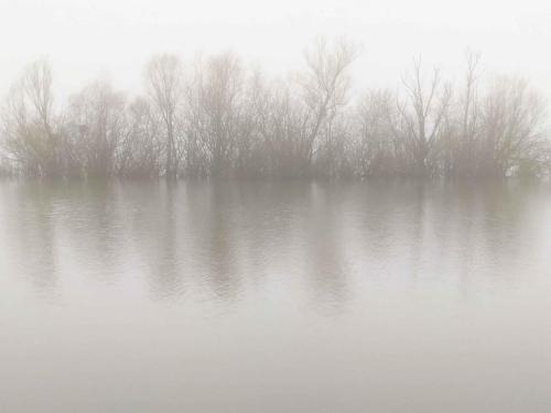 Brouillard étang de Saint-Quentin en Yvelines 31 janvier 2021