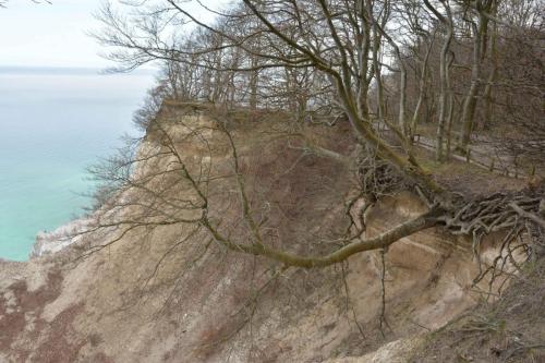 Falaises de craie Mon