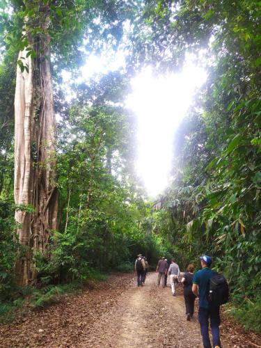 Sur la piste dans le Parc national de Kaeng Krachan