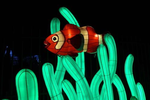 Poisson clown