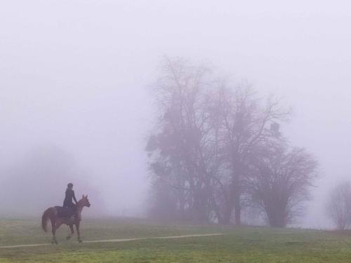 Brouillard étang de Saint-Quentin en Yvelines 31 janvier 2021