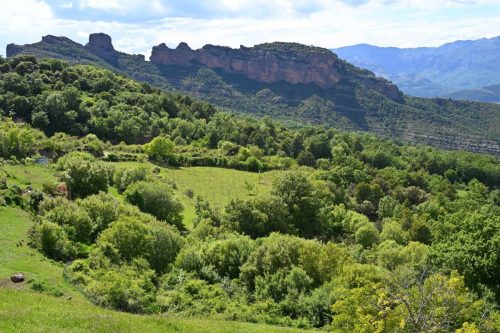Près d'Hortoneda