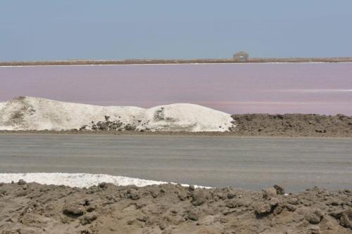 Salines et extraction du sel