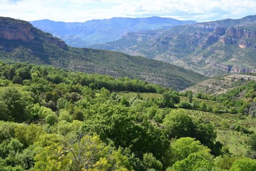 Près d'Hortoneda