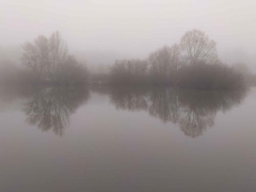 Brouillard étang de Saint-Quentin en Yvelines 31 janvier 2021