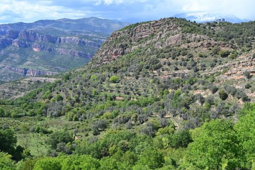 Près d'Hortoneda